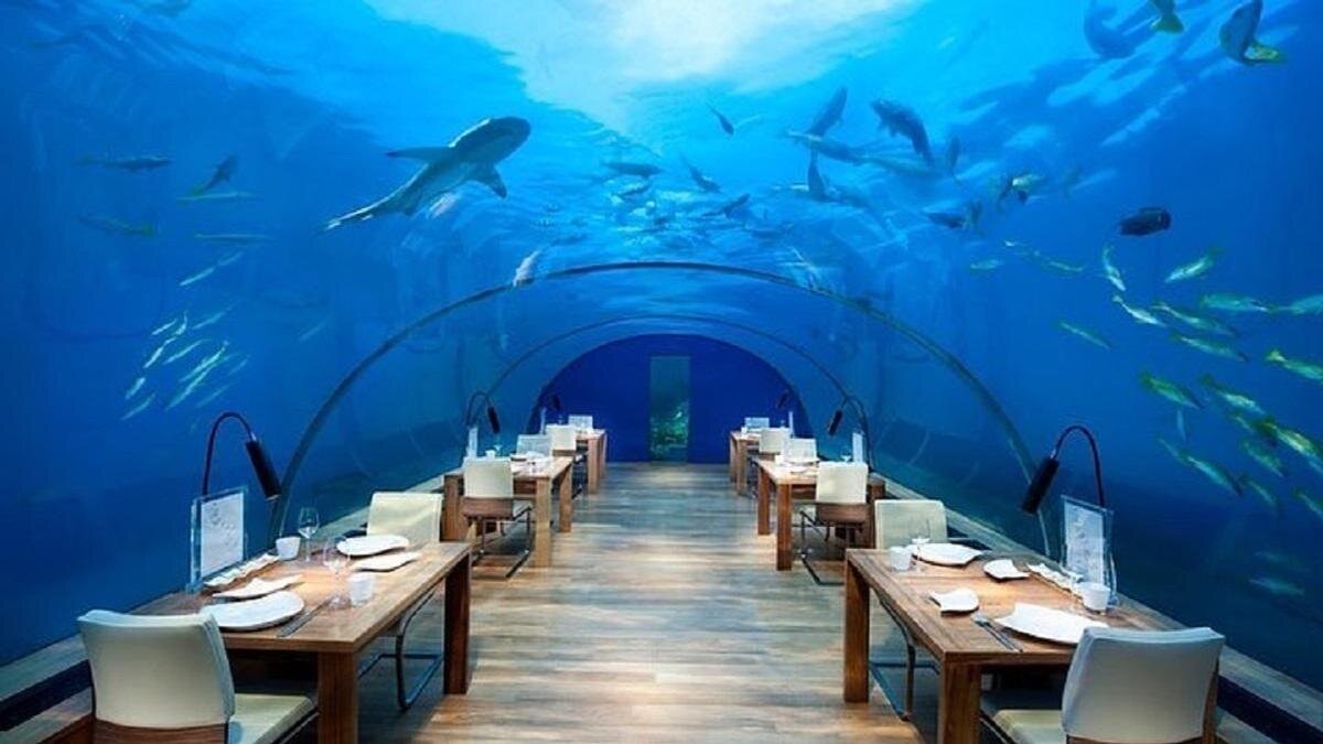    Подводный ресторан на Мальдивах:instagram.com/maldives_highlights