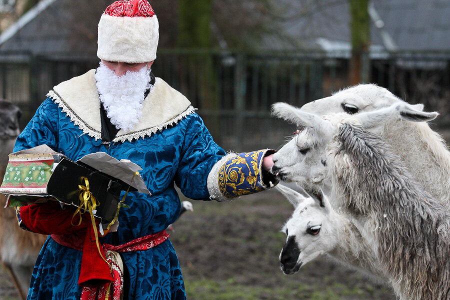 Фото: Виталий Невар / Новый Калининград