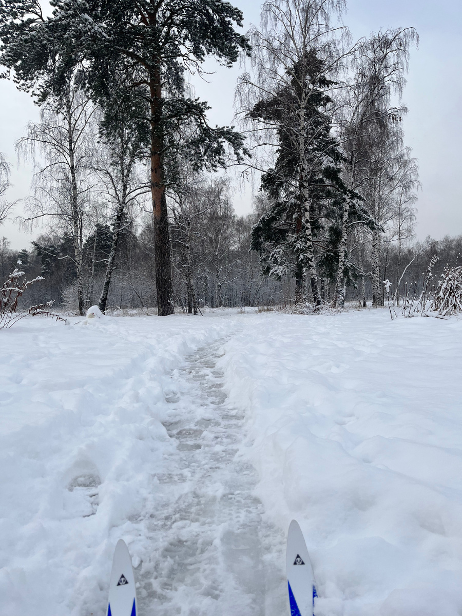 Покатушки на лыжах в лесу