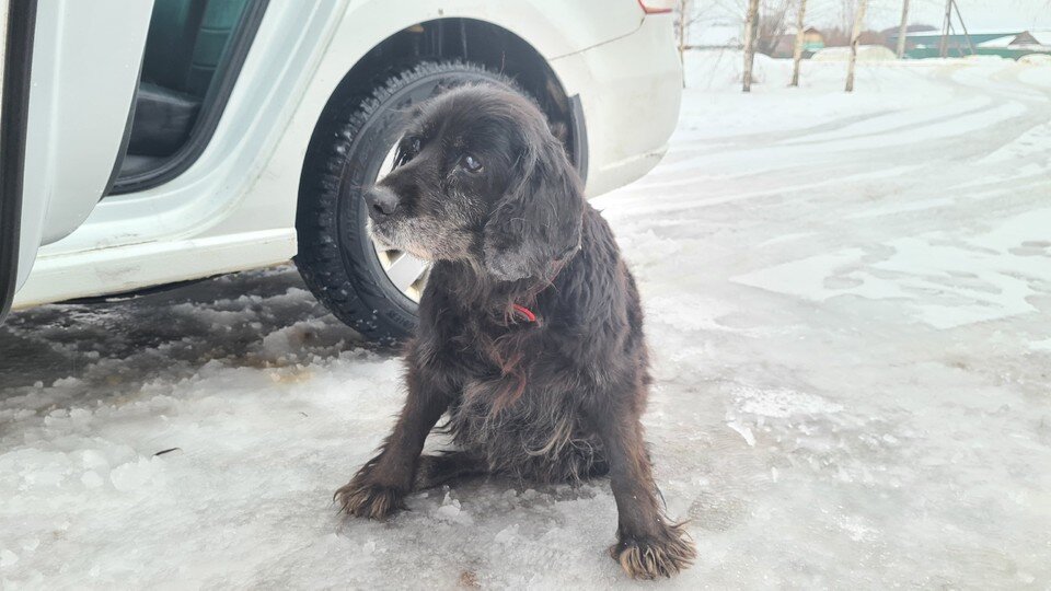     Молли возвращается домой.