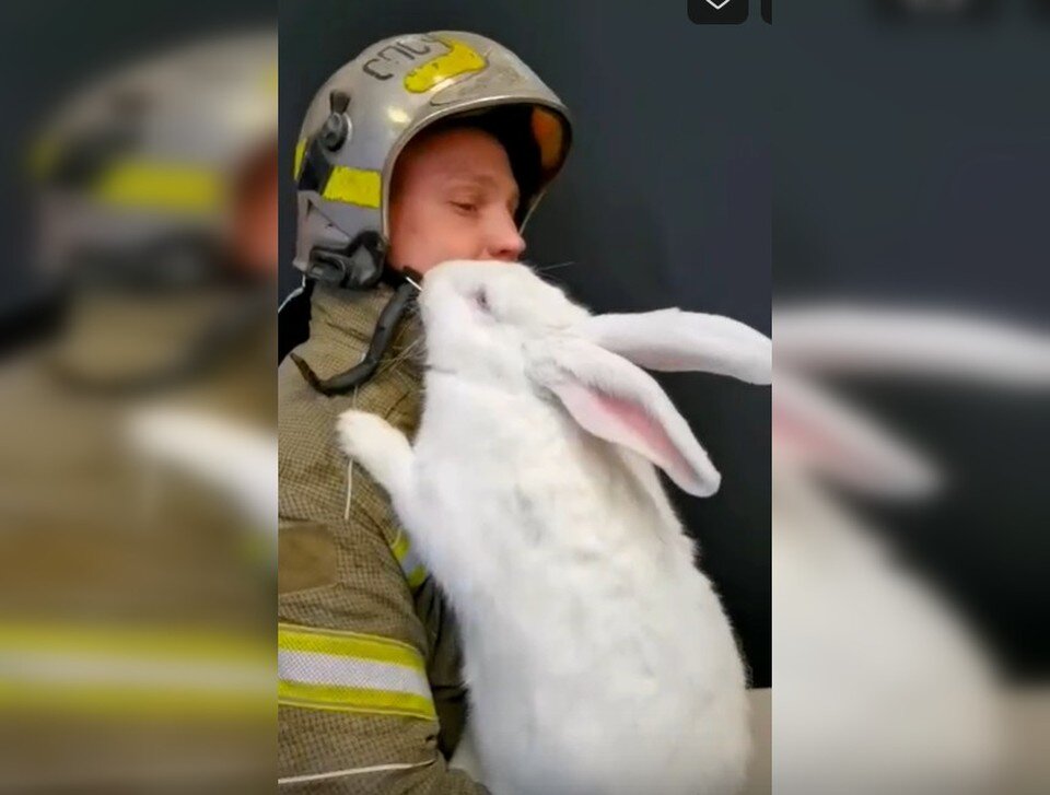     Сотрудникам МЧС по плечу любая ноша. Фото: кадр видео МЧС Республики Крым/VK