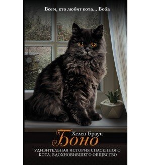 Обложка книги, взято из интернета