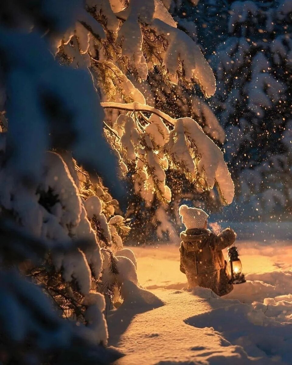 Фото из интернета, большое спасибо автору