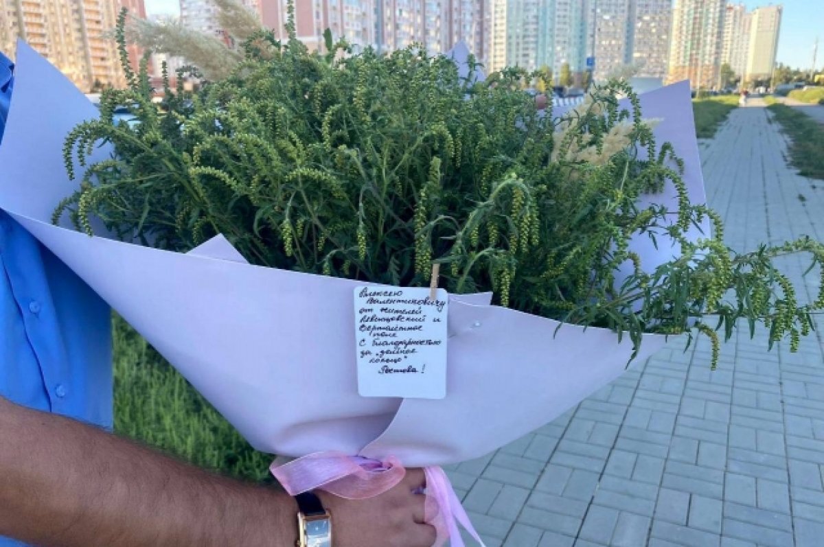    Букет из амброзии для ростовского градончальника.