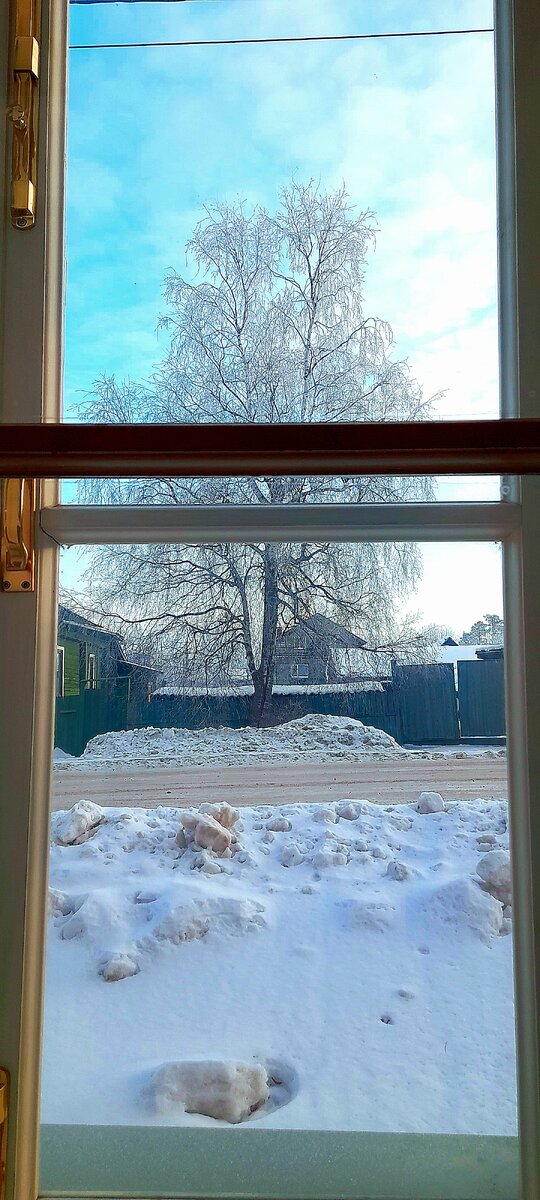 Вид из окна музея... Сопровождая посетителей, с грустью просматриваю в окна...День обещает быть морозным, выяснивает. Жаль такой денёк пропускать, ведь с работы вернусь уже в темноте...