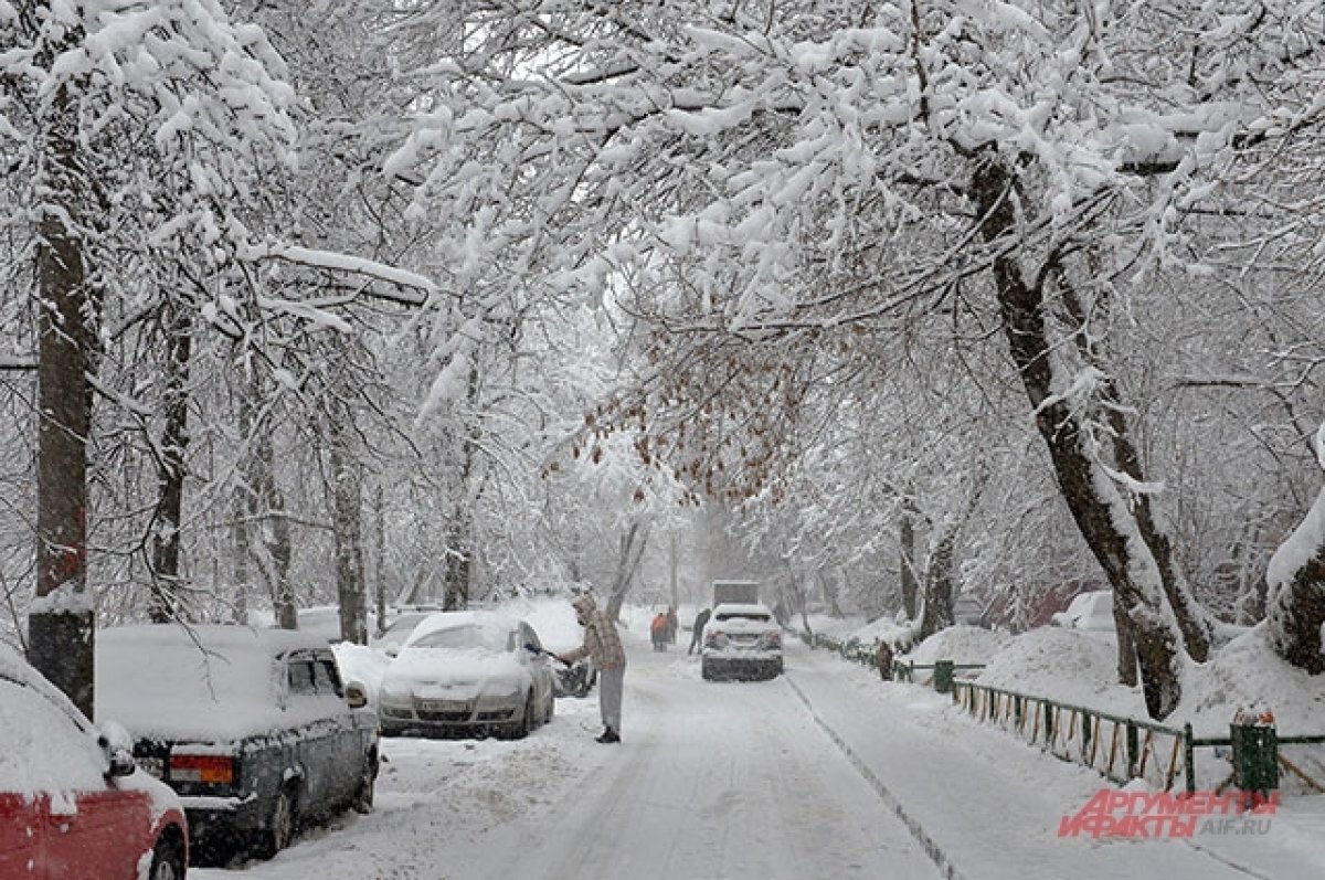    Москвичей предупредили о новой волне похолодания с 24 января