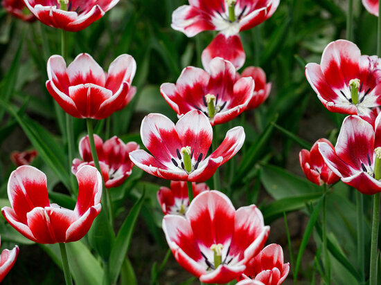     Фото: Вадим Боченков