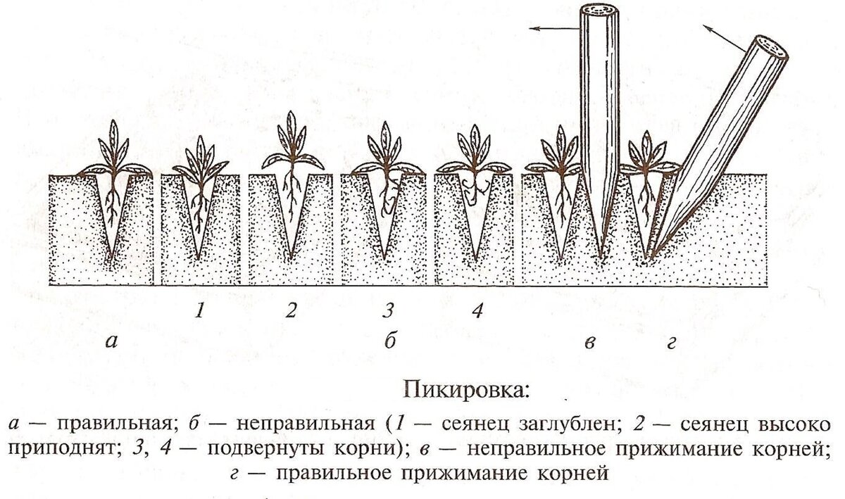 Майл.Картинки