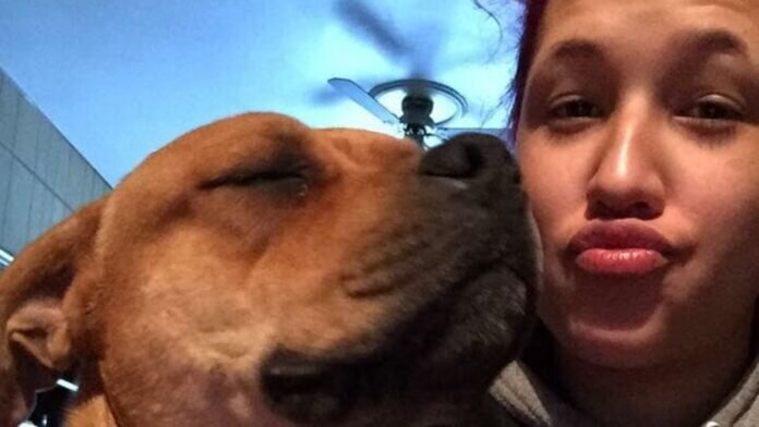   LeHigh County Humane Society