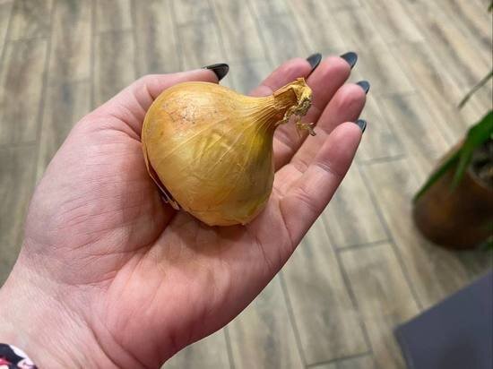     Фото: МК в Туле