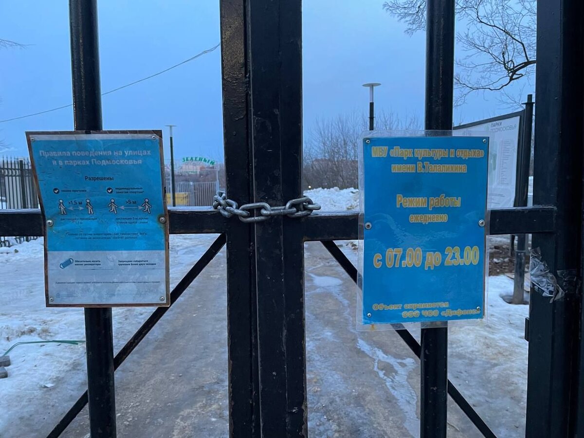 Фото: Юлия Шутихина