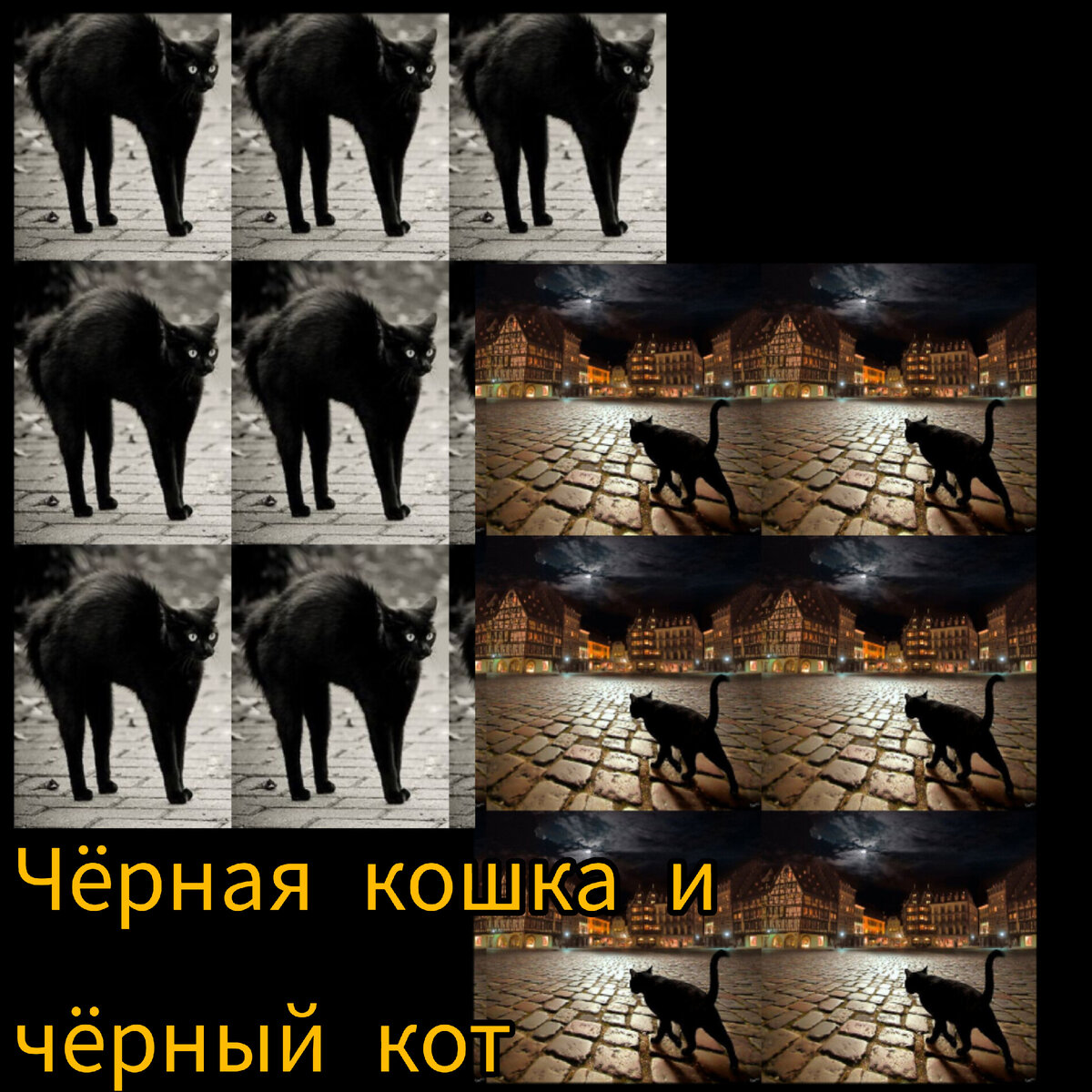 Черная кошка и чёрный кот. Авторский коллаж.