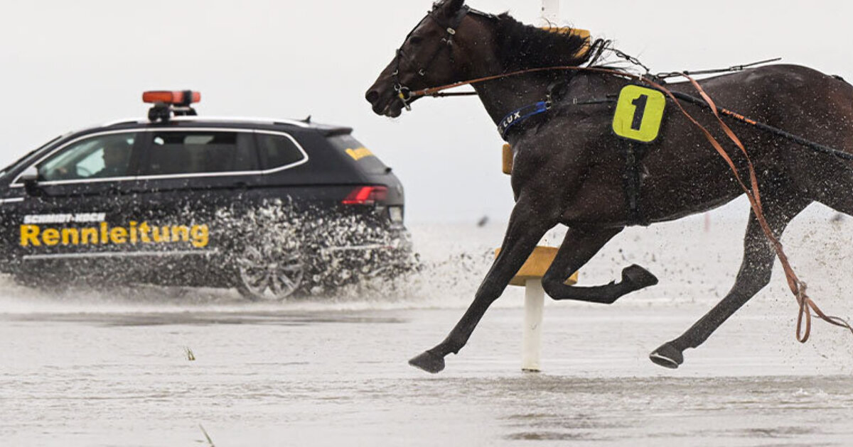123 лошадиные силы. лошадиная сила. что измеряют в лошадиных силах. мощность лошади в лошадиных. тойота ленд крузер 200 коричневый.