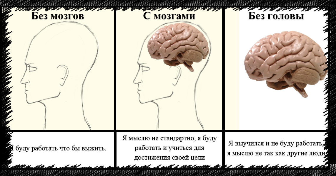 Почему мозг хуже. Мозг думает. Мозг в голове.