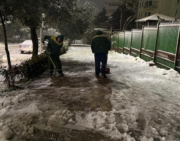 ФОТО: ОФИЦИАЛЬНЫЙ КАНАЛ АДМИНИСТРАЦИИ ГОРОДА СОЧИ