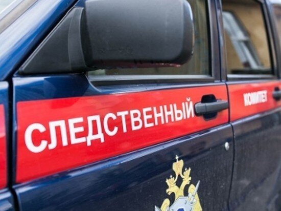     Фото: СУ СК РФ по Саратовской области