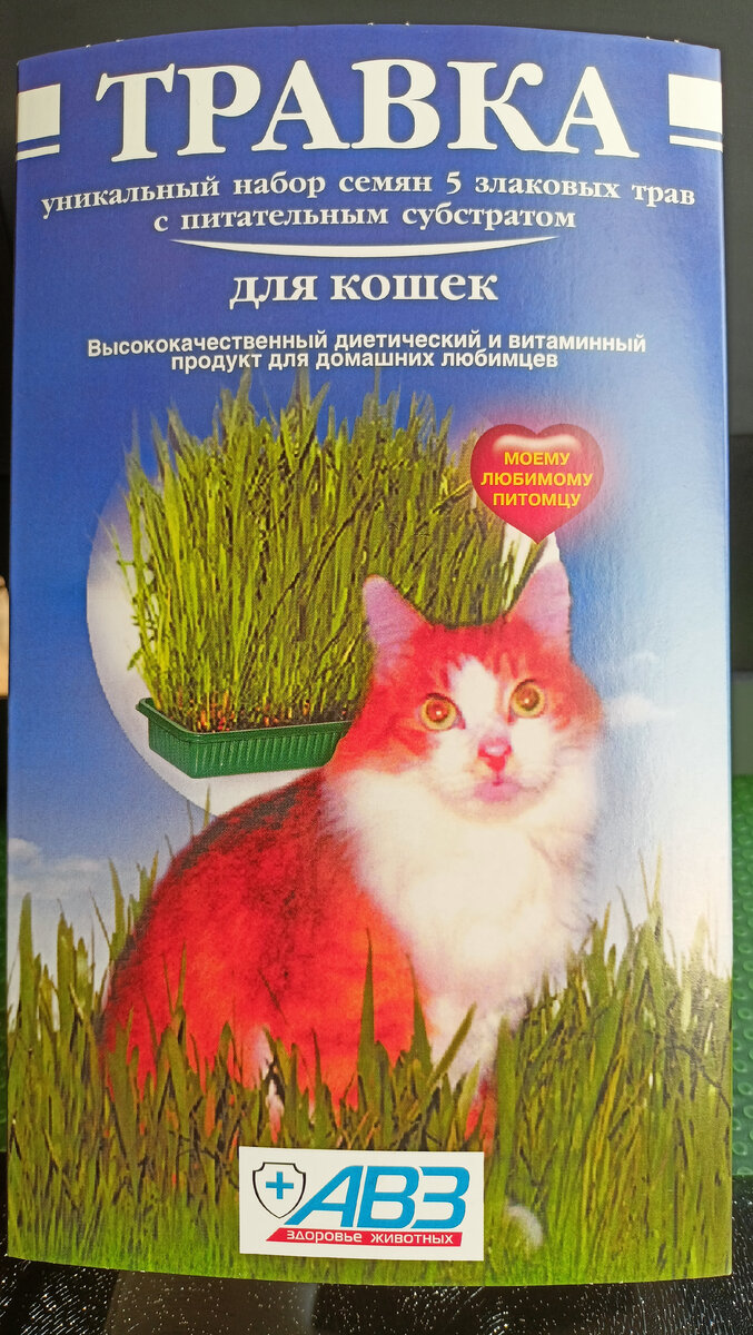 Моё фото коробочки