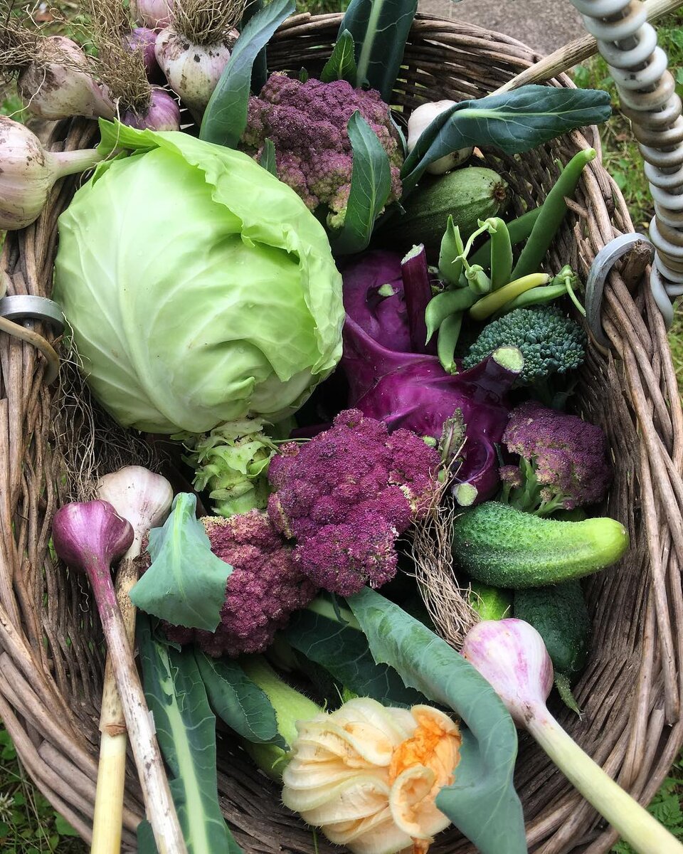 Урожай 2018 года. Один из моих лучших.