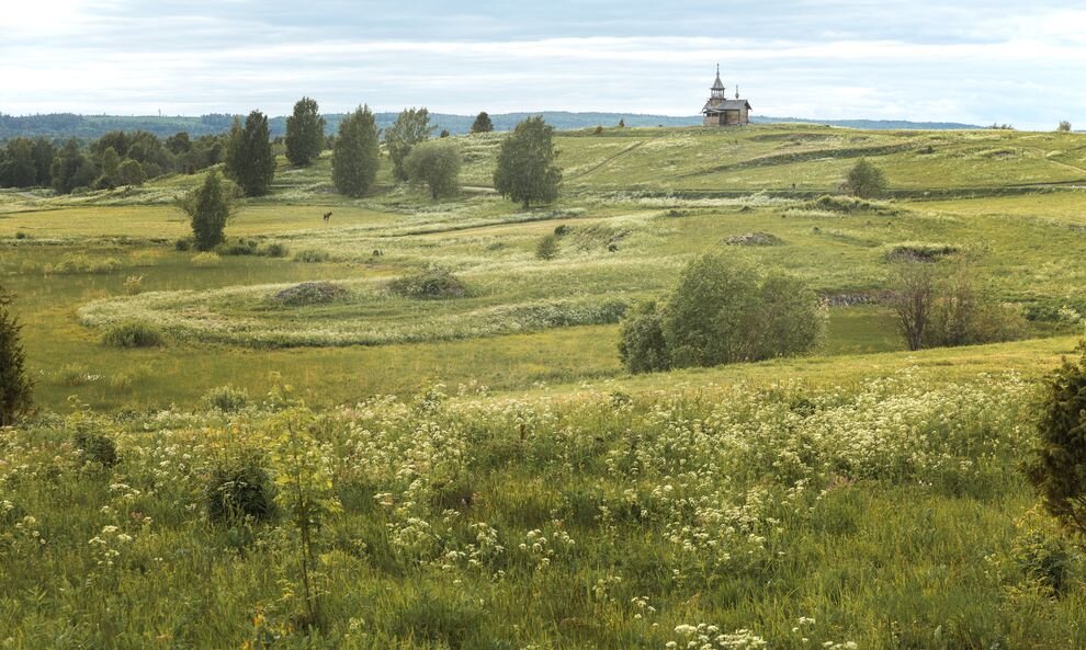 Видит окрестности. Нарьина гора Кижи. Кижские деревни ямка и Васильево. Деревня ямка в Кижах фото. Кижские деревни ямка и Васильево фото.