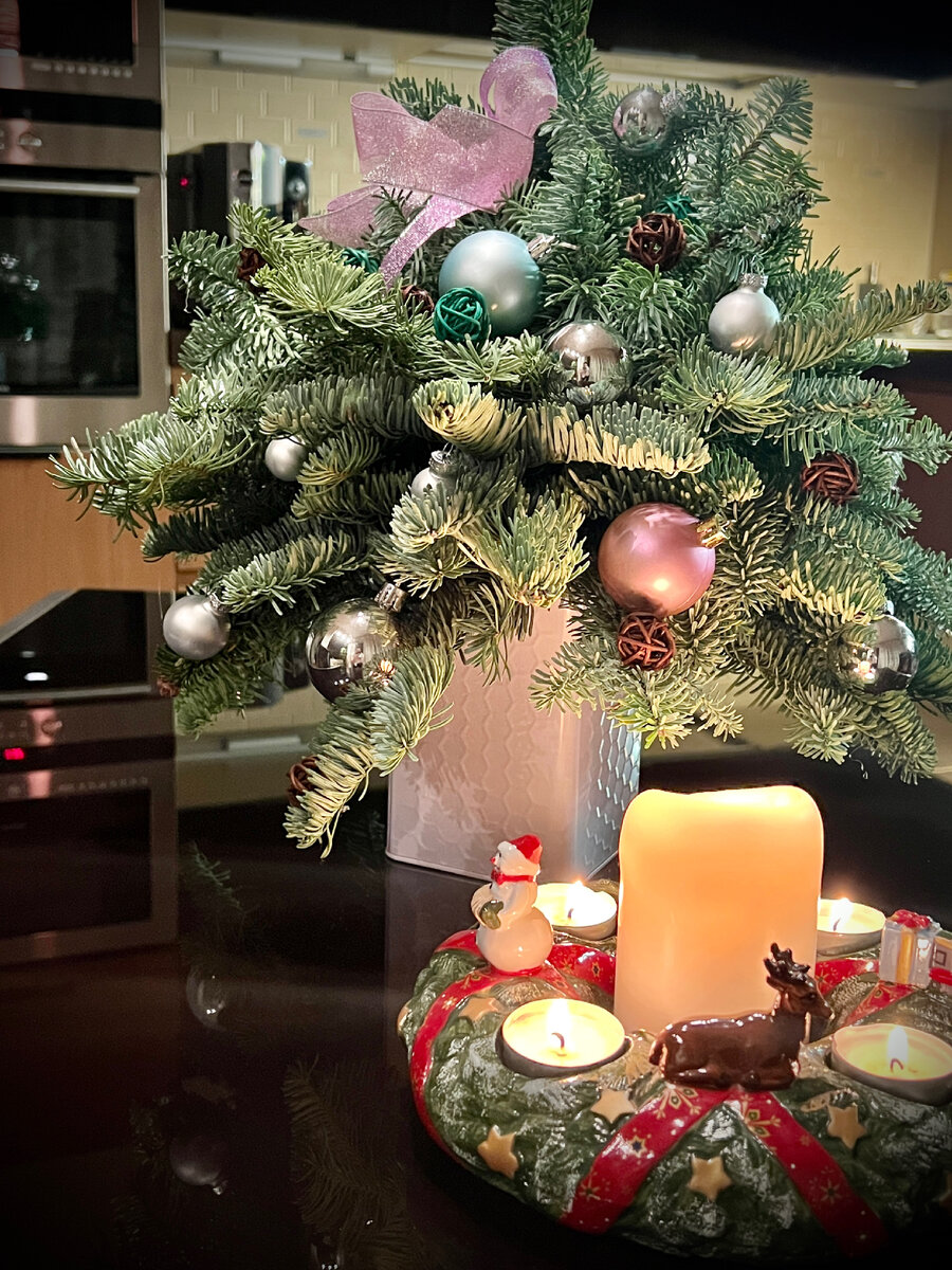 Рождественская Елочка из живой датской ели 🌲 