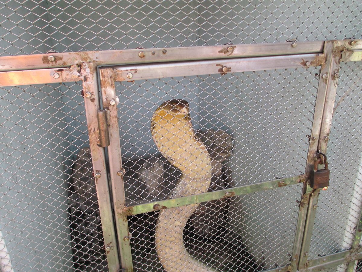 магический отворот не представляет опасности ни для того, кто его делает, ни для тех, против кого он направлен -  у людей  просто  исчезает потребность  часто видеться