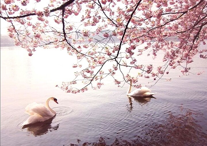 Семейные радости... 