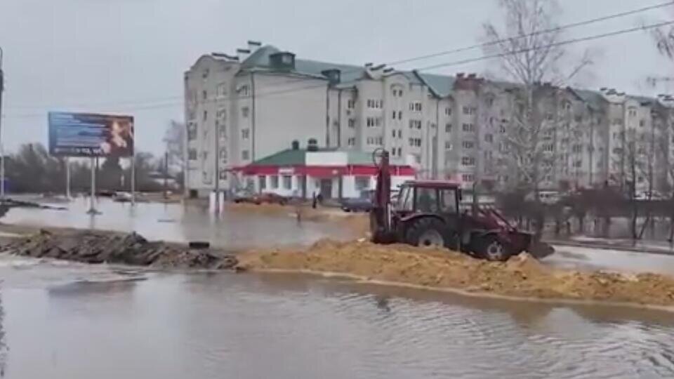 Фото: © Скриншот видео