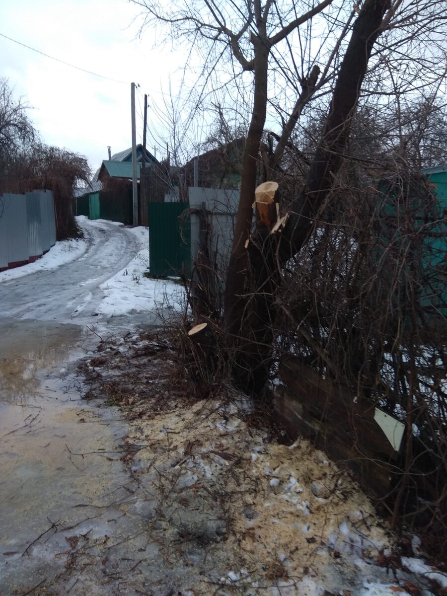 Это улица в снт 