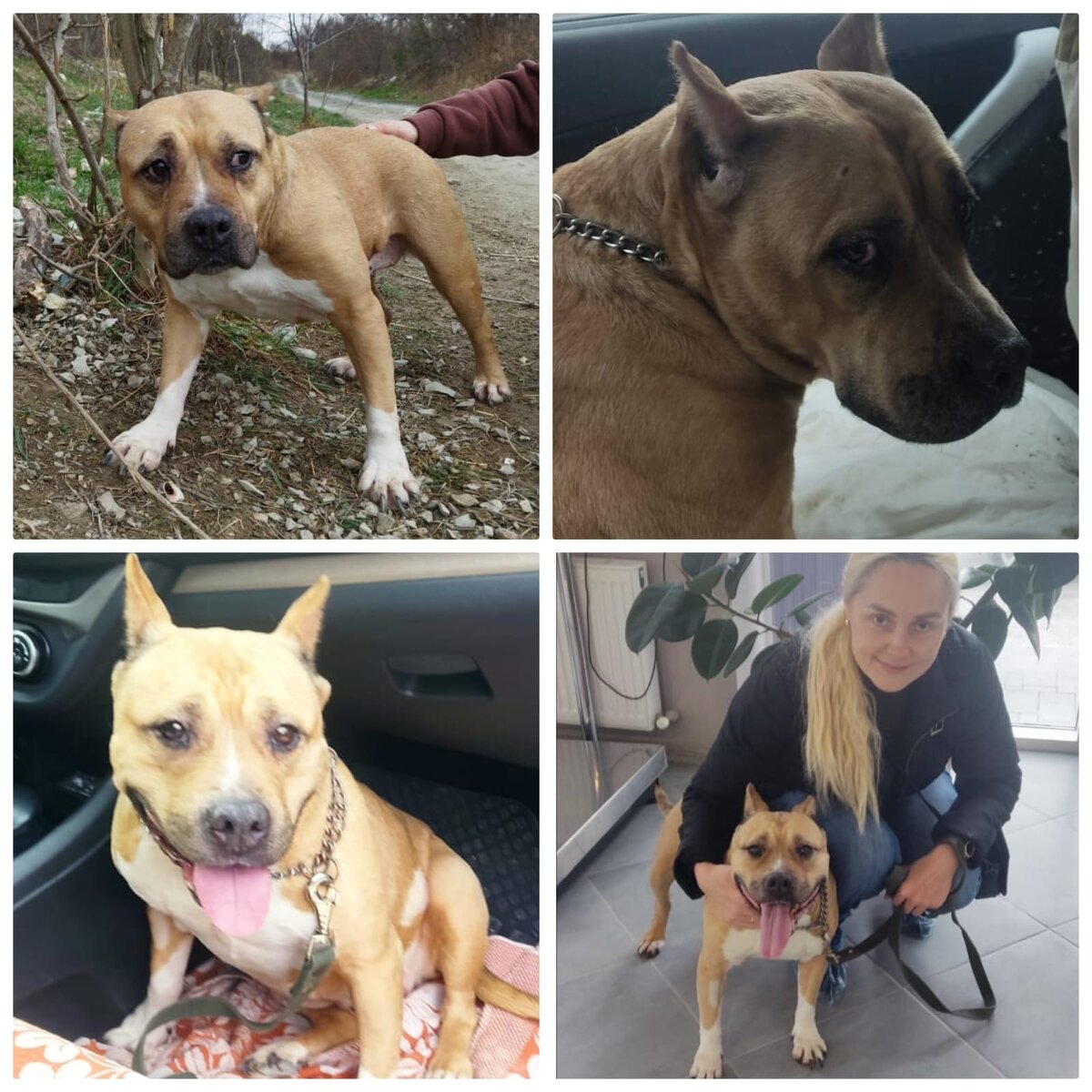 Фото любезно предоставлены Ольгой и размещены с ее согласия