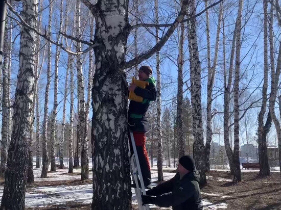     скриншот видео