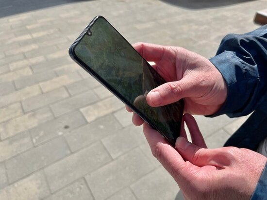     Рука мошенника. Фото: saratov.mk.ru "МК в Саратове"