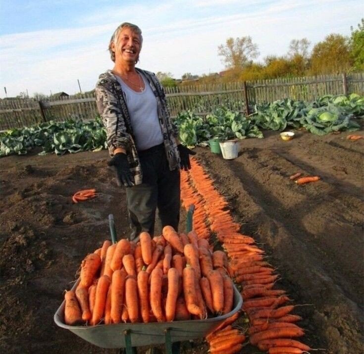 Фото из доступного источника. 