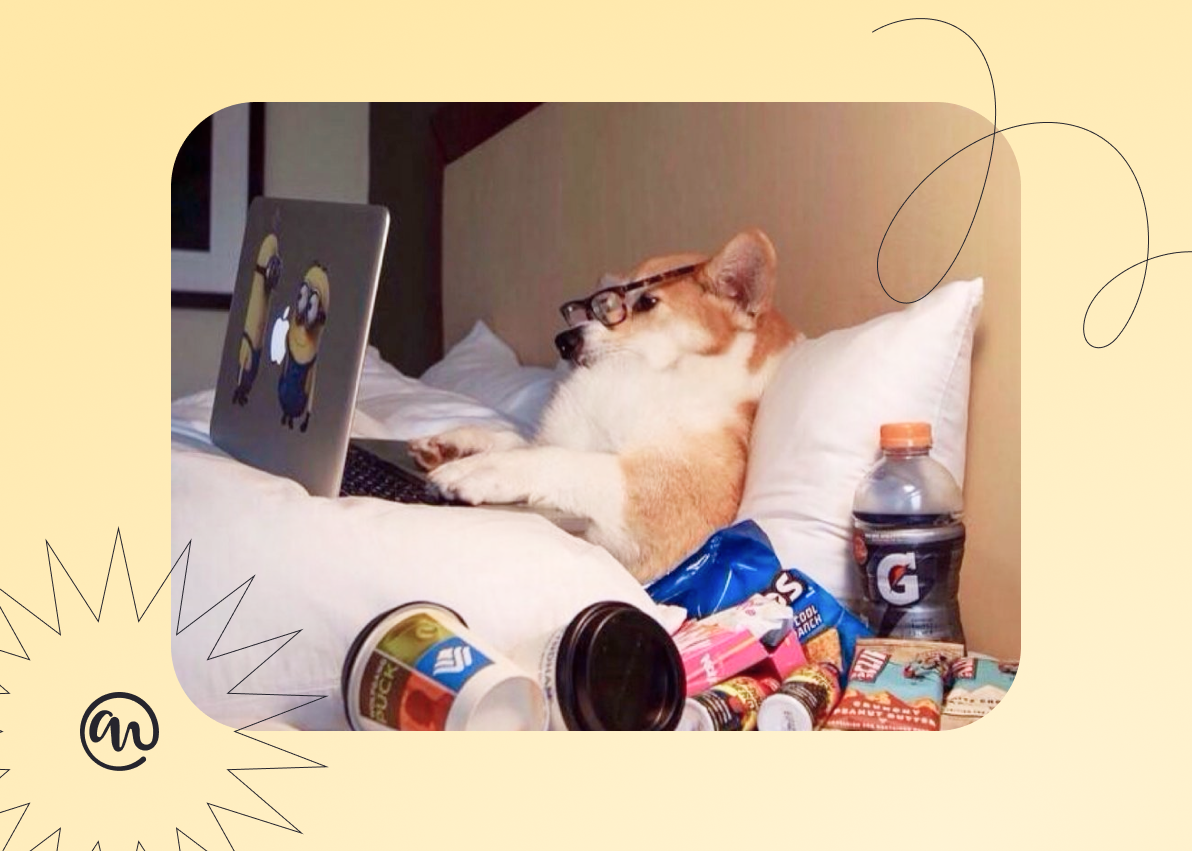 Как самозанятым работать на биржах фриланса | Самозанятые.рф | Дзен