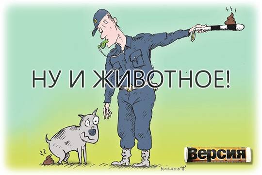    Ну ты животное!