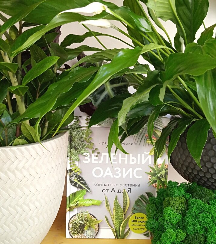 Фото автора.