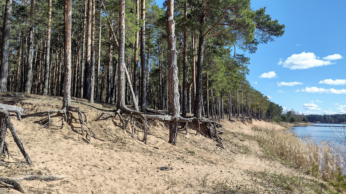 красногорский карьер тверь пляж. константиновский карьер тверская область. красногорские карьеры тверь. константиновские карьеры тверь. красногорский карьер тверь.