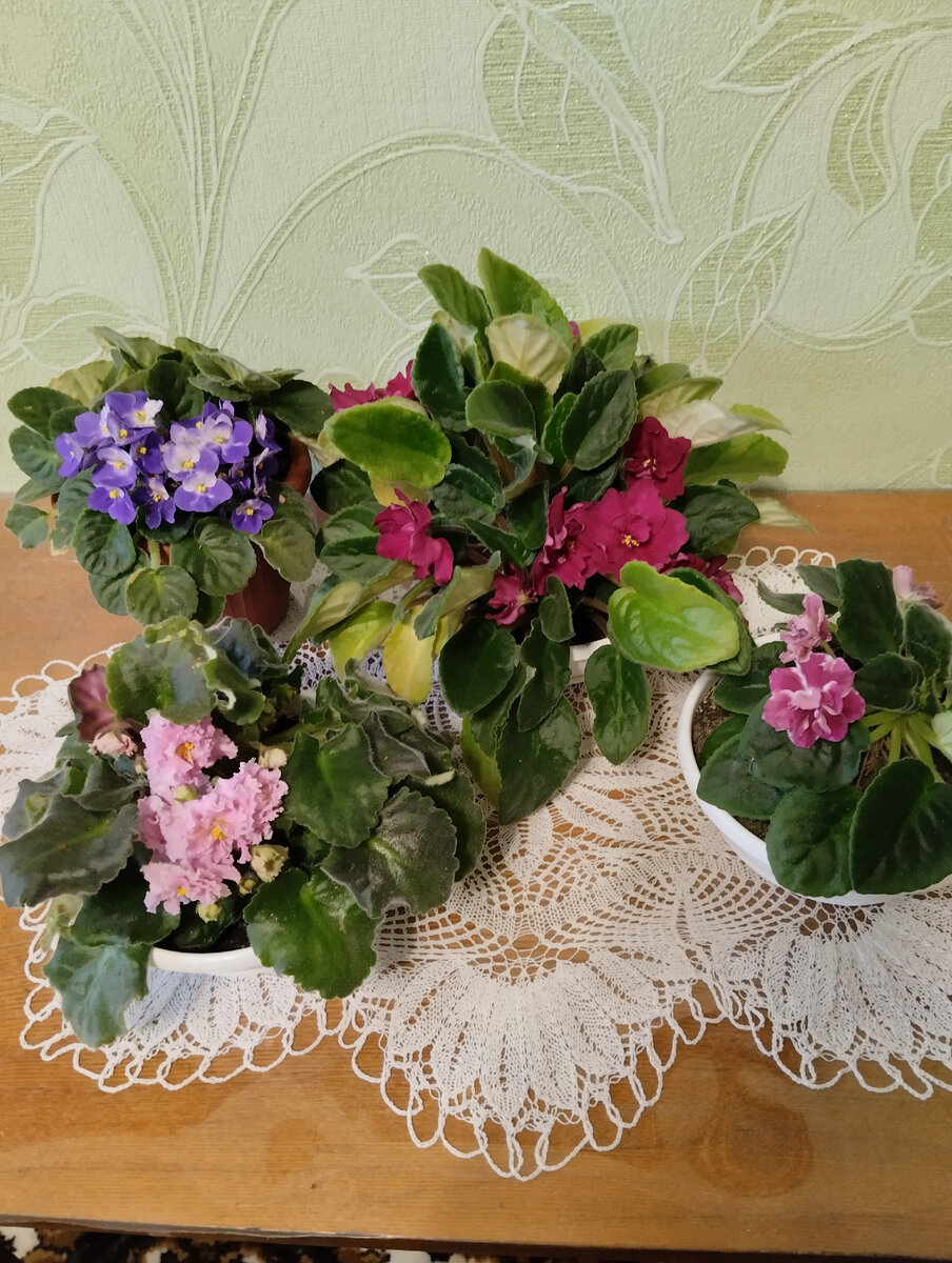 Фото автора.