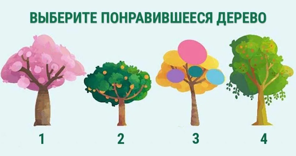 2 3 4 tree. Выберите дерево и узнайте. Тест дерево. Тест выбери дерево. Выбери дерево и узнай.