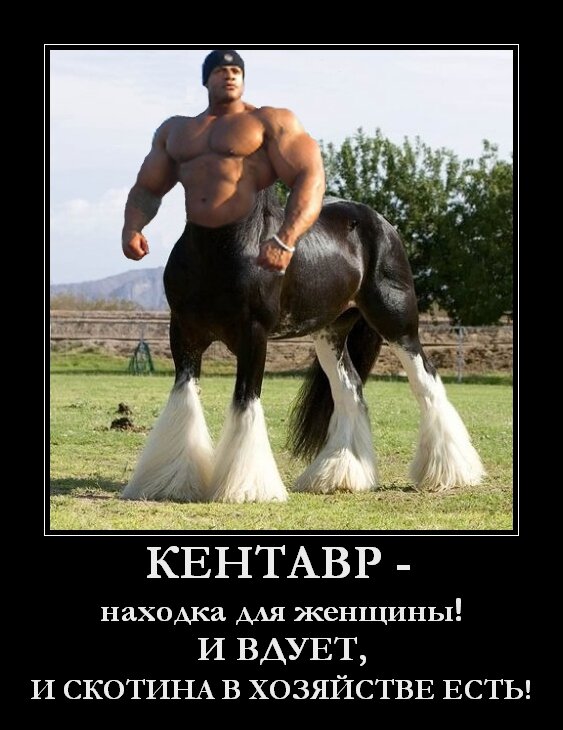 Фото из открытых источников интернета. https://otvet.mail.ru/question/194279231