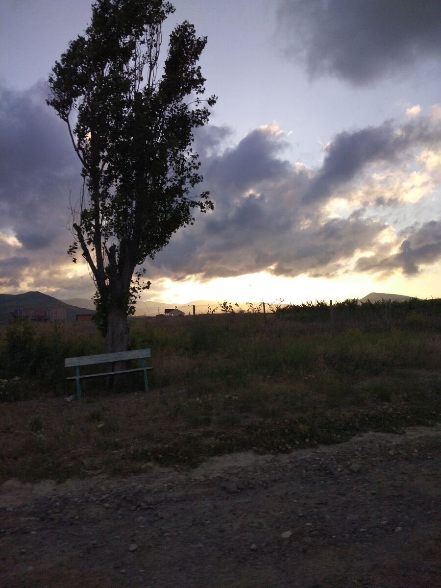 Вечернее солнышко. Фото автора.