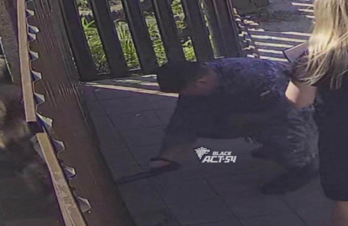    В Новосибирске судебный пристав ударил собаку шокером