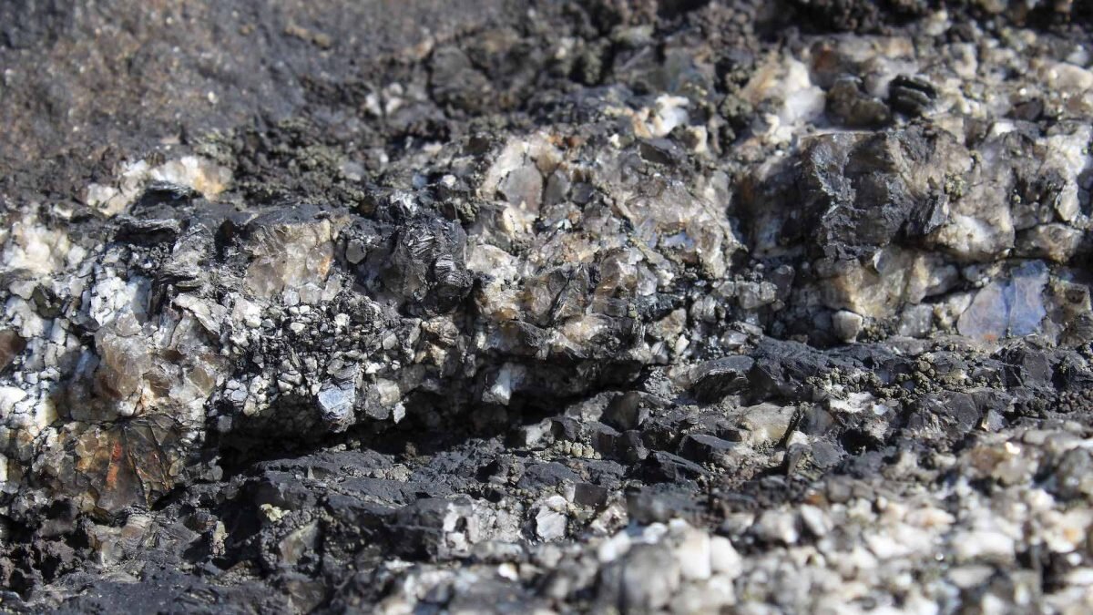    Фото: Unsplash Август Макаров