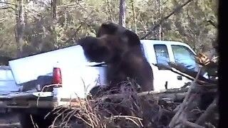 Картинка из открытых источников интернета.