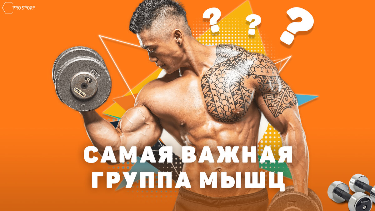 Что качать, мышц много, а я один – самая важная группа мышц вашего тела |  PRO SPORT | Дзен