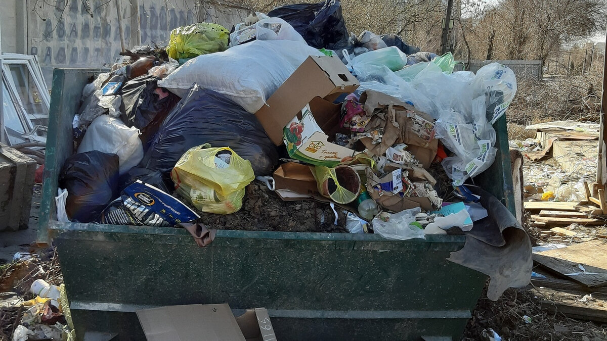     Число обращений волгоградцев на несвоевременный вывоз мусора подсчитали профильные региональные ведомства с начала 2023 года, сообщает пресс-служба администрации Волгоградской области.