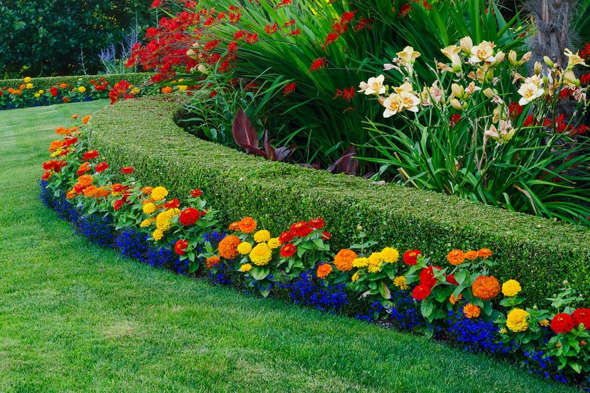 Источник фото: flo.discus-club.ru