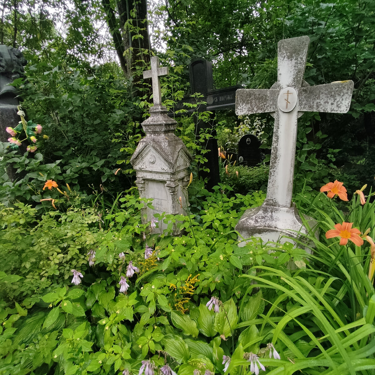 Примерно таких, и даже ещё хуже