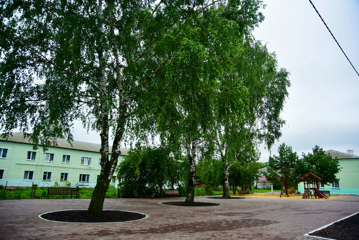 день змиевки орловская область. ул. свердловский район орловской области. змиёвка свердловский район. змиёвка орловская область памятник.