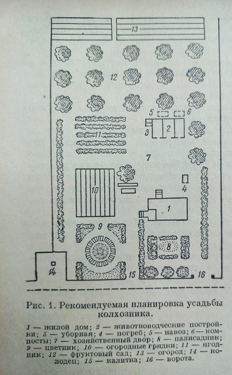 Домоводство. М., Государственное издательство сельскохозяйственной литературы. 1956г.
