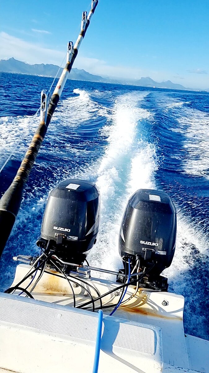 Вид на о.Маврикий со стороны океана.